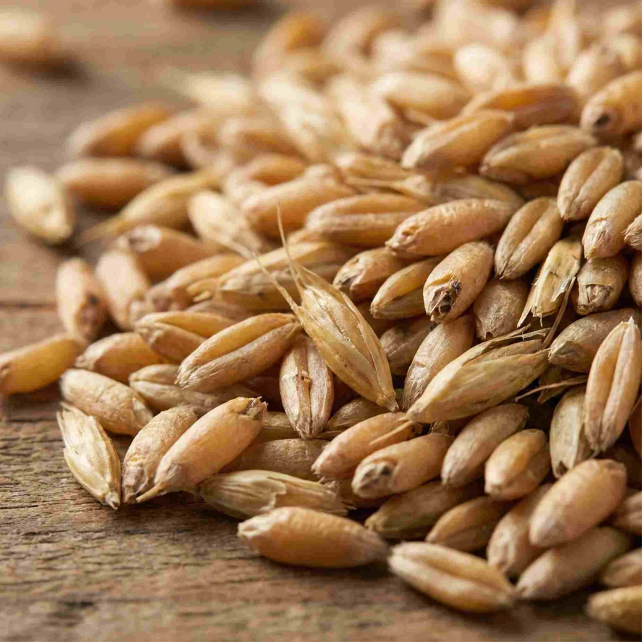 Organic Einkorn