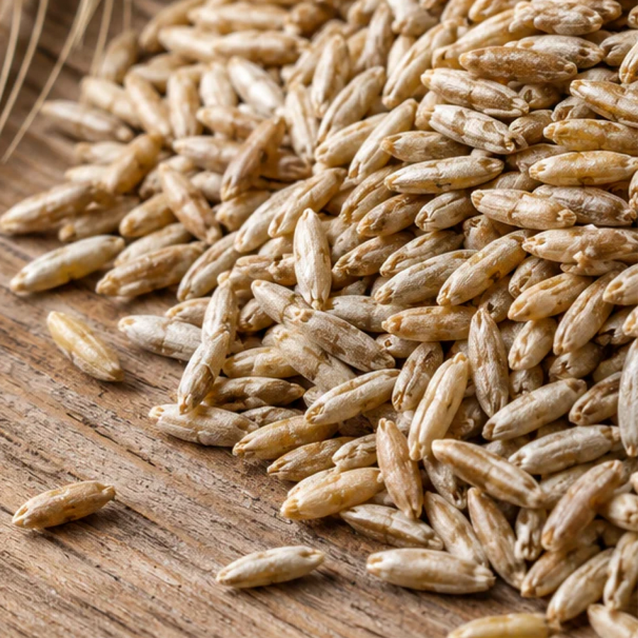 Organic Rye Berries