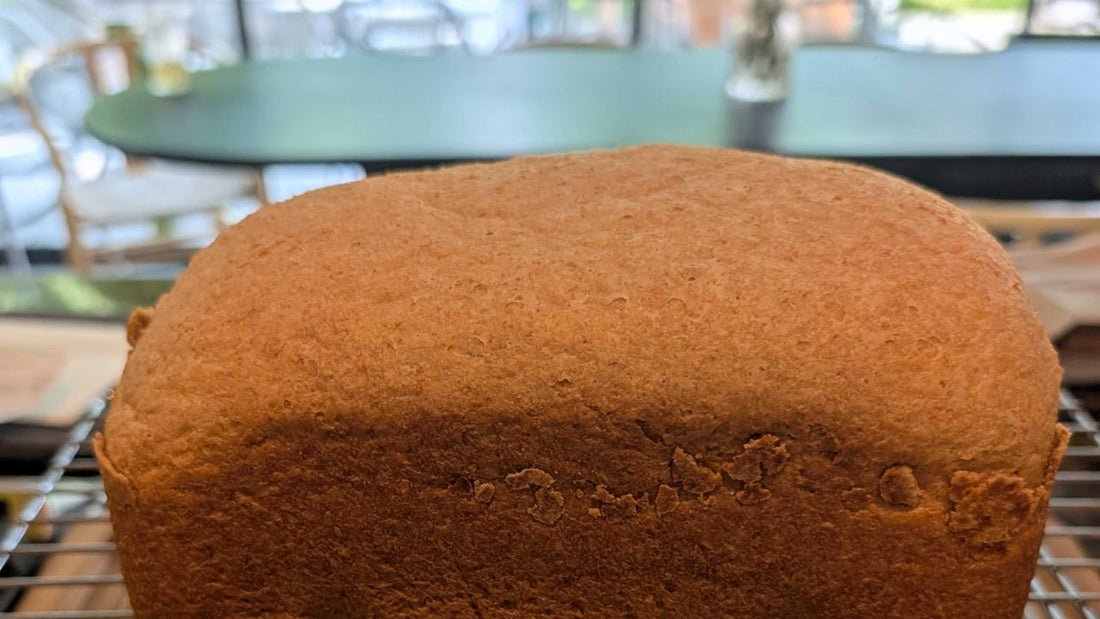Fresh-Milled Honey Whole Wheat (Bread Machine Loaf)