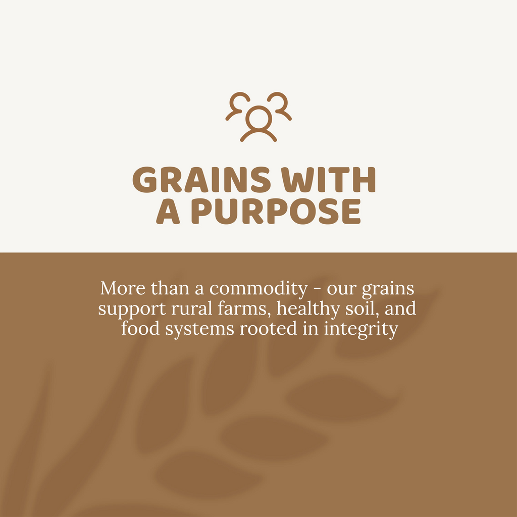 Organic Rye Berries