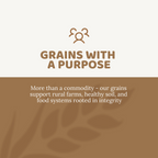 Organic Rye Berries