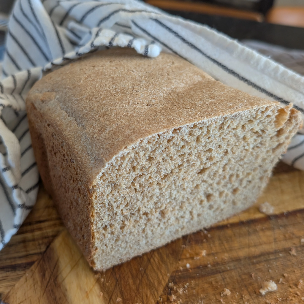 Organic Hard Red Wheat