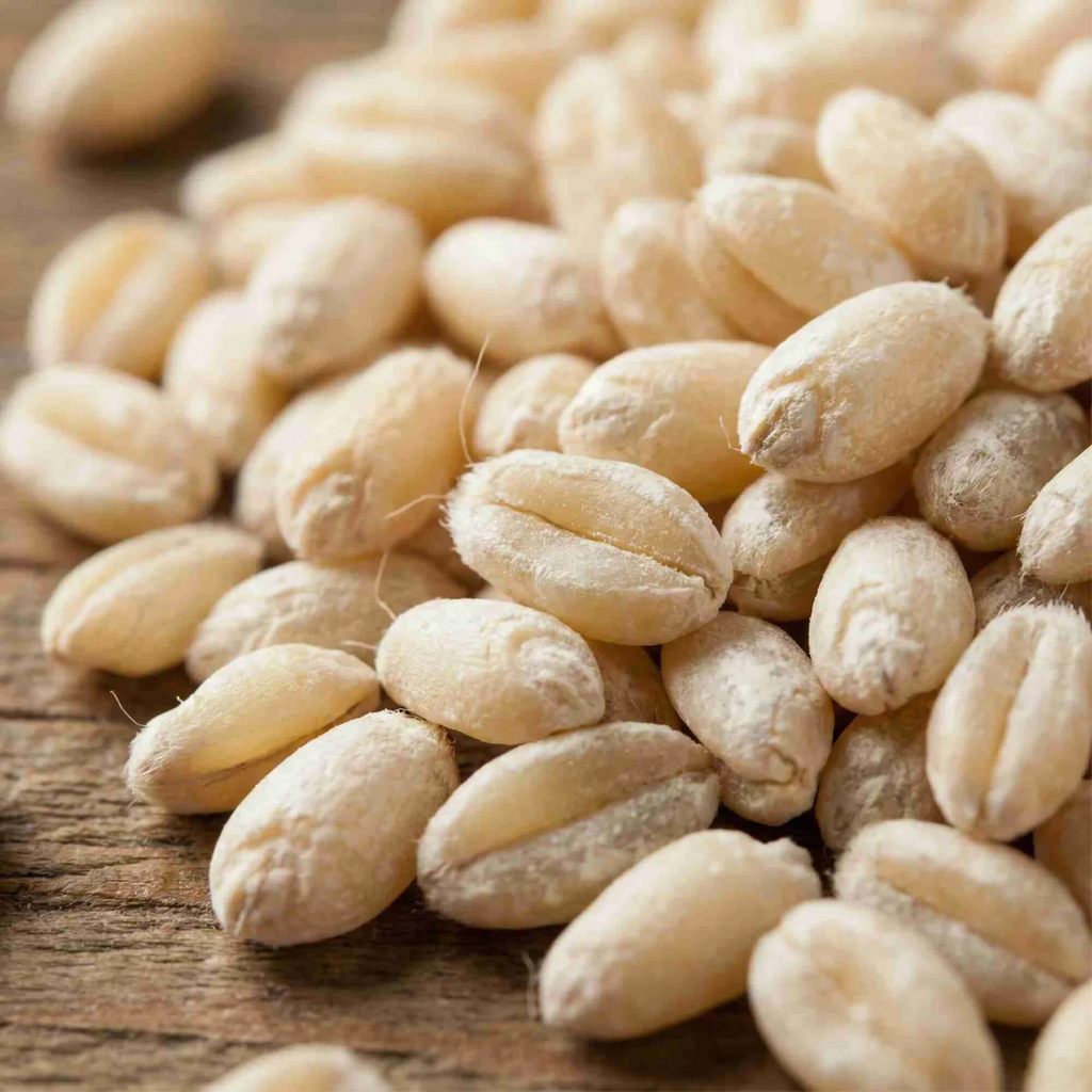 Organic Hard White Wheat