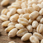Organic Hard White Wheat