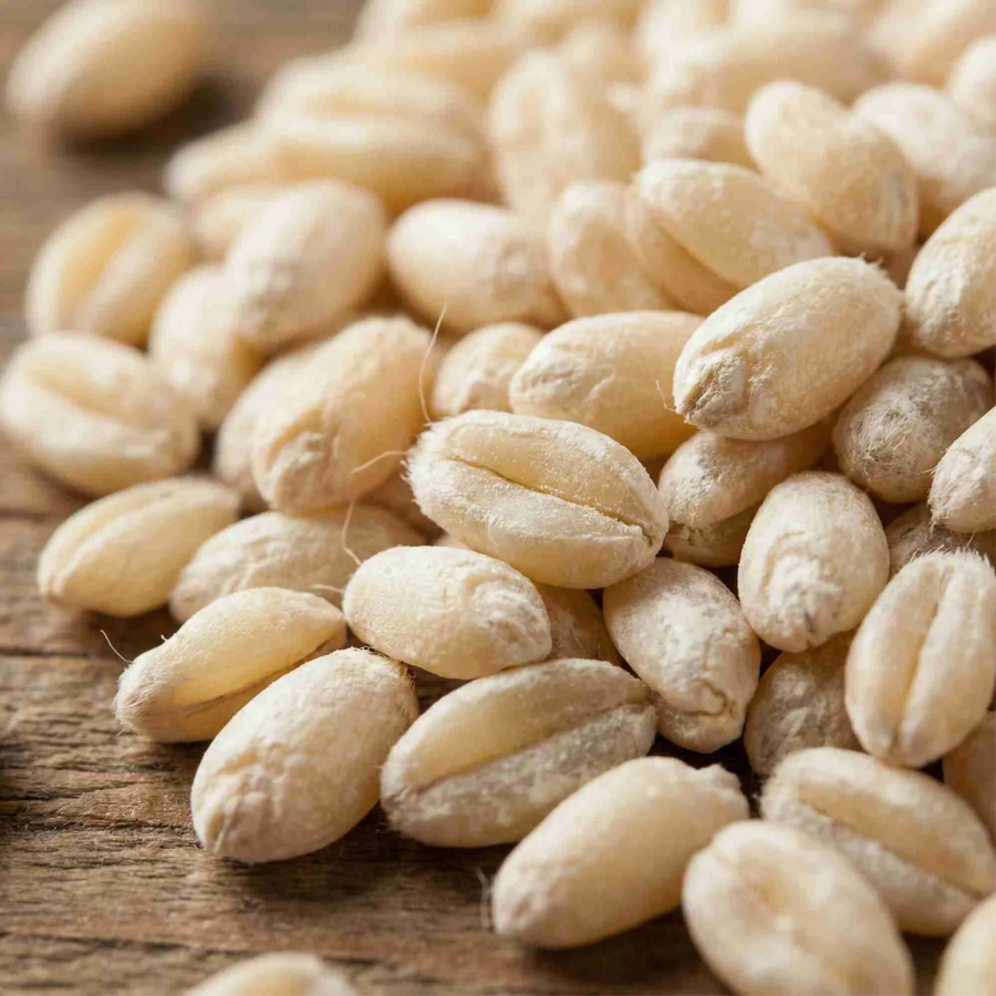 Organic Hard White Wheat