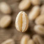 Organic Hard White Wheat