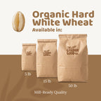 Organic Hard White Wheat