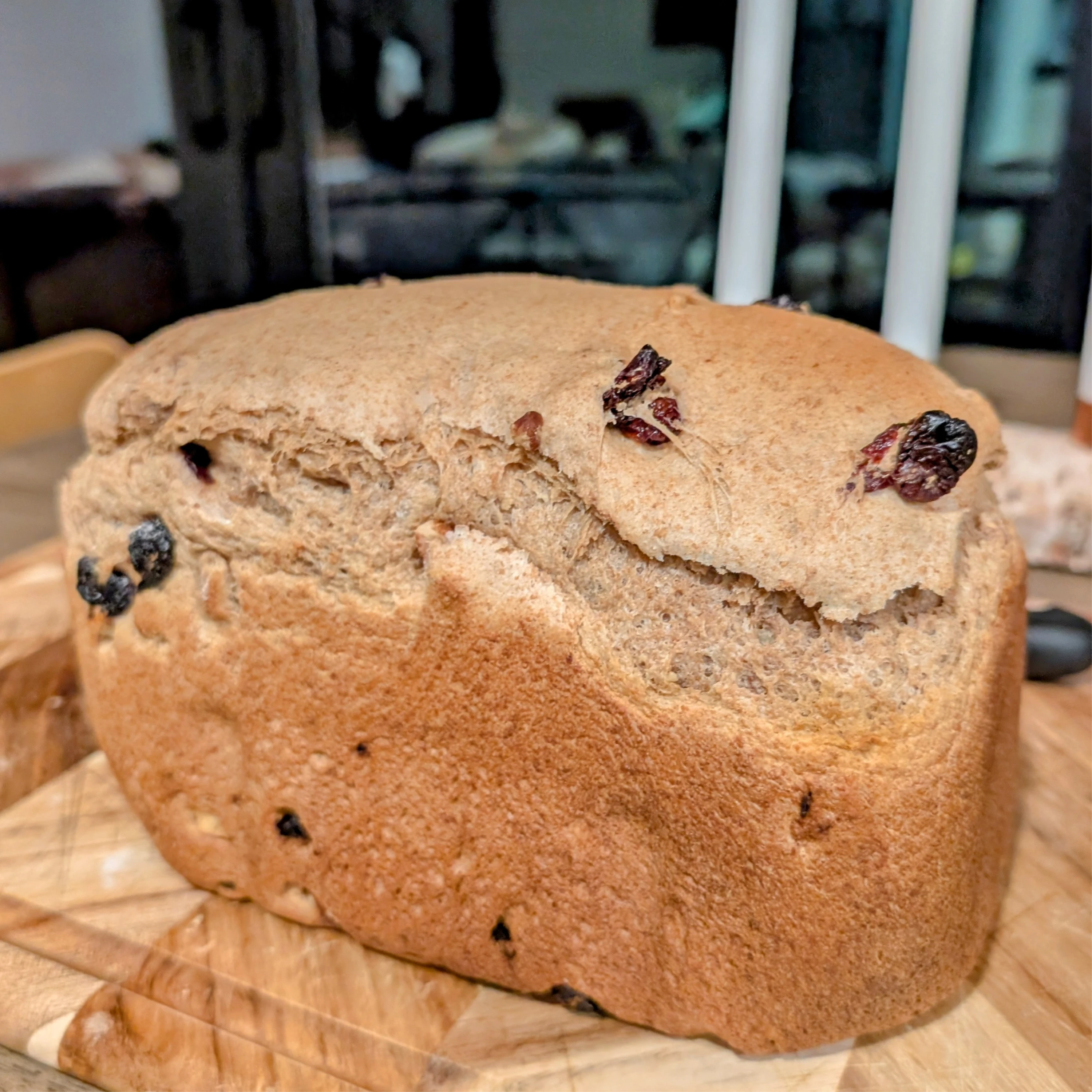 Organic Einkorn