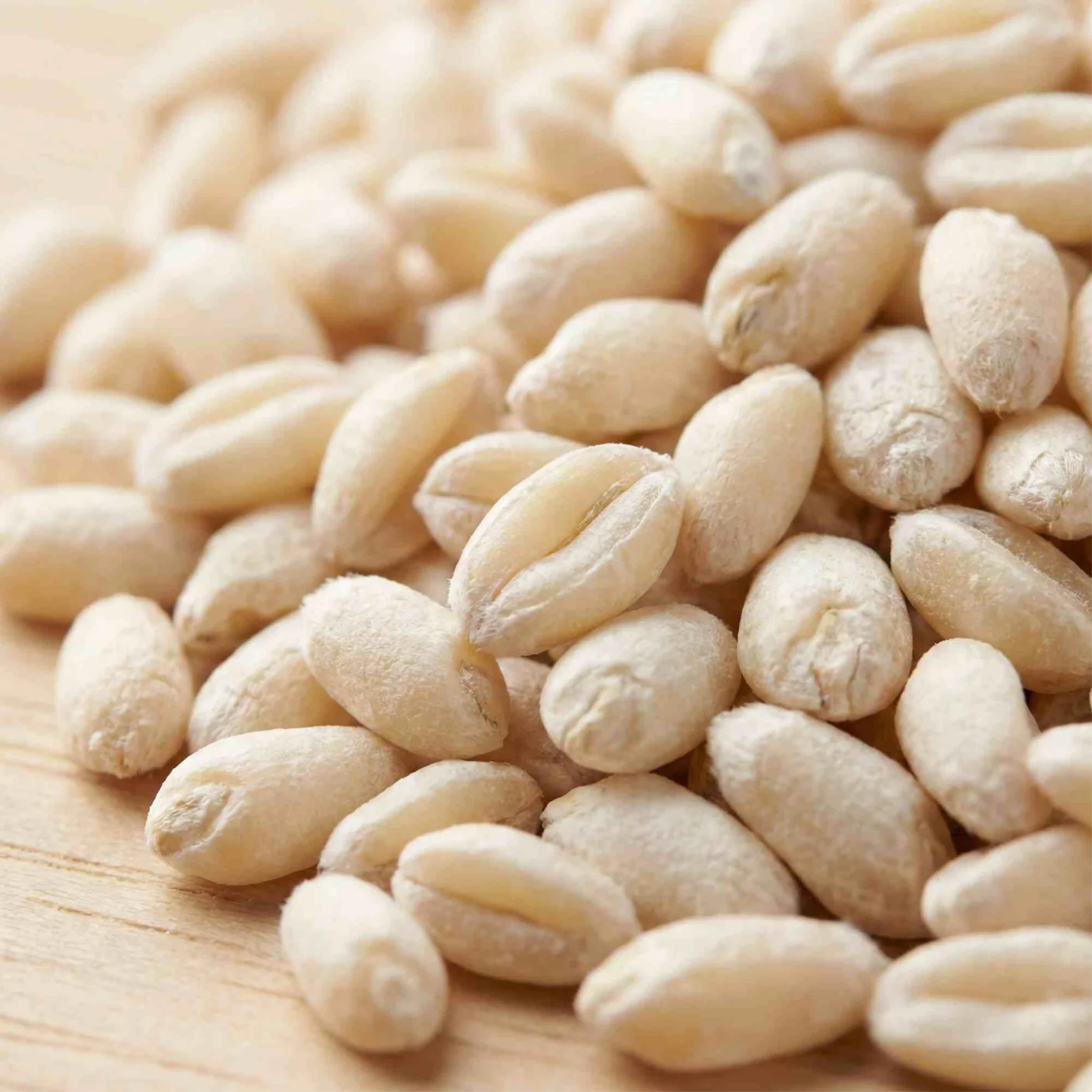 Organic Soft White Wheat