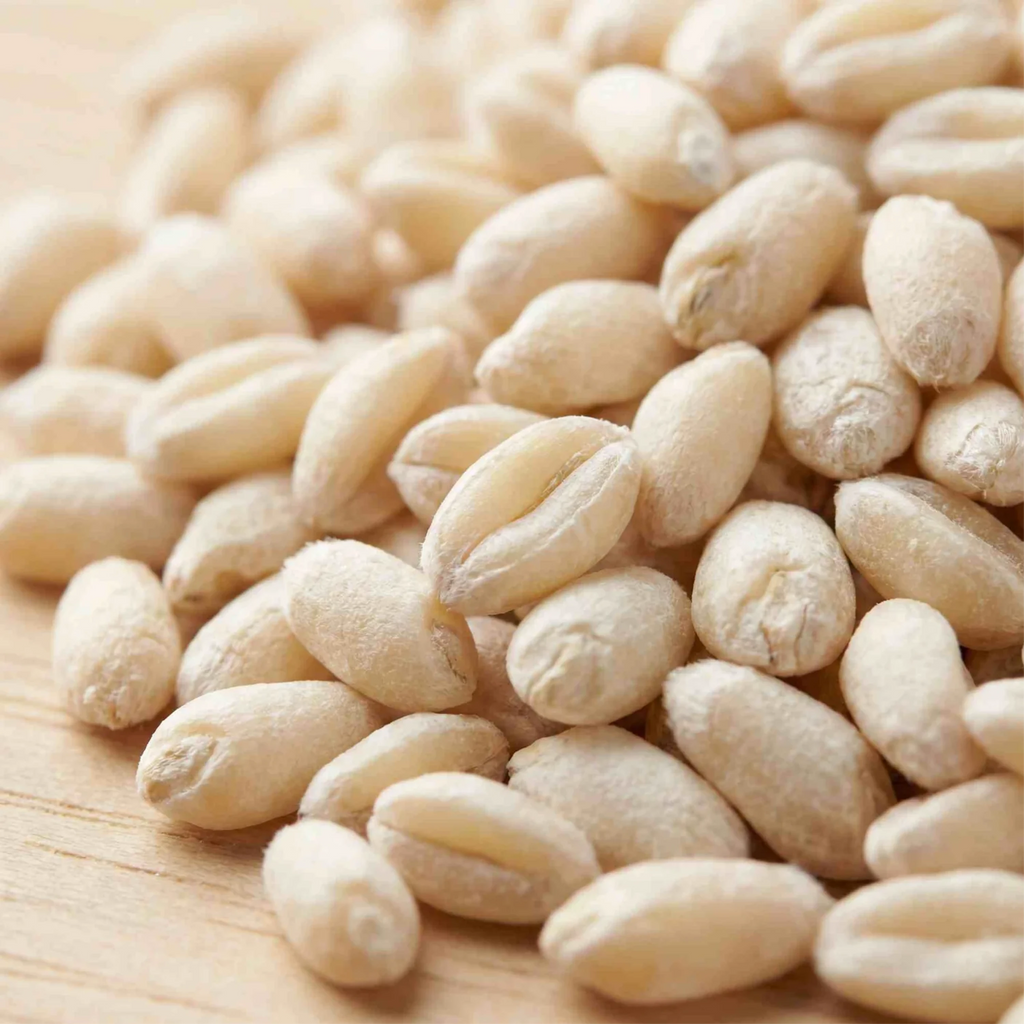 Organic Soft White Wheat