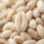 Organic Soft White Wheat