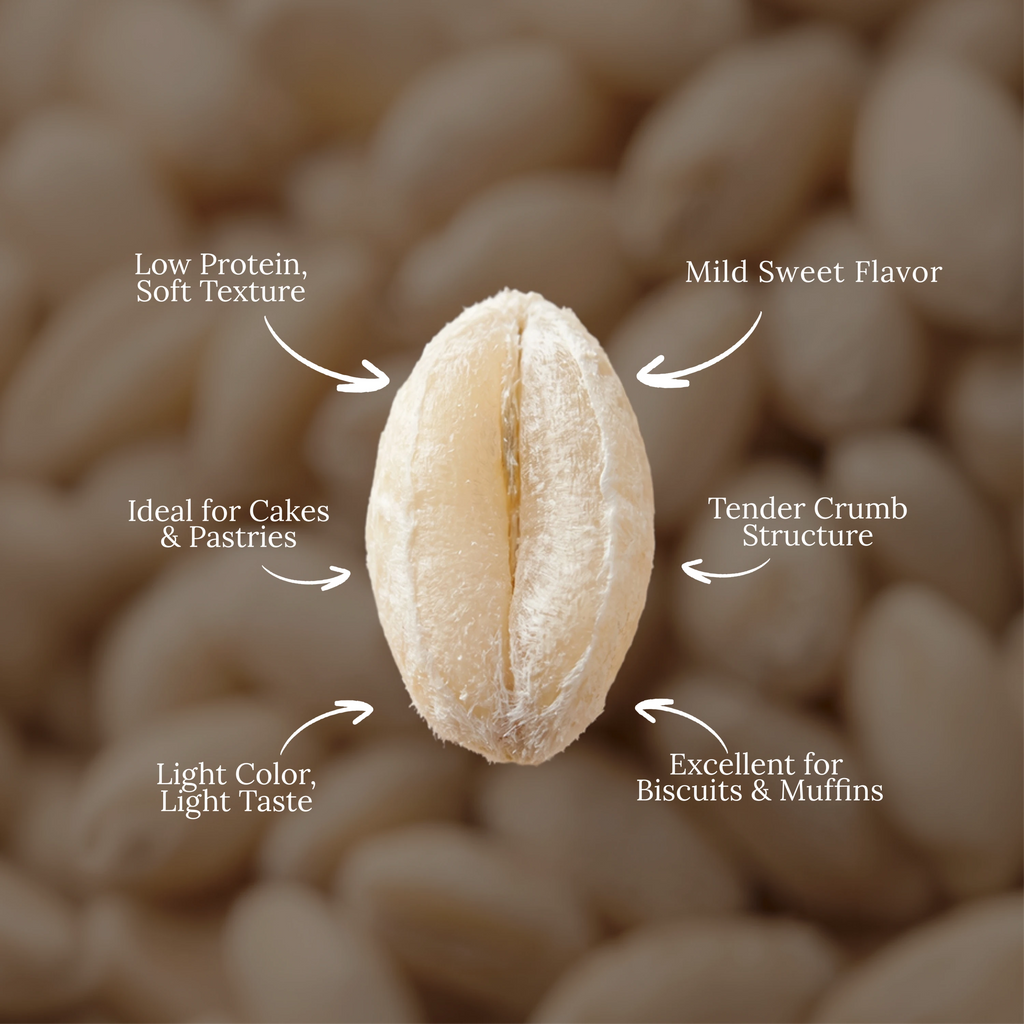 Organic Soft White Wheat