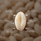 Organic Soft White Wheat