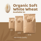 Organic Soft White Wheat