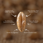 Organic Spelt