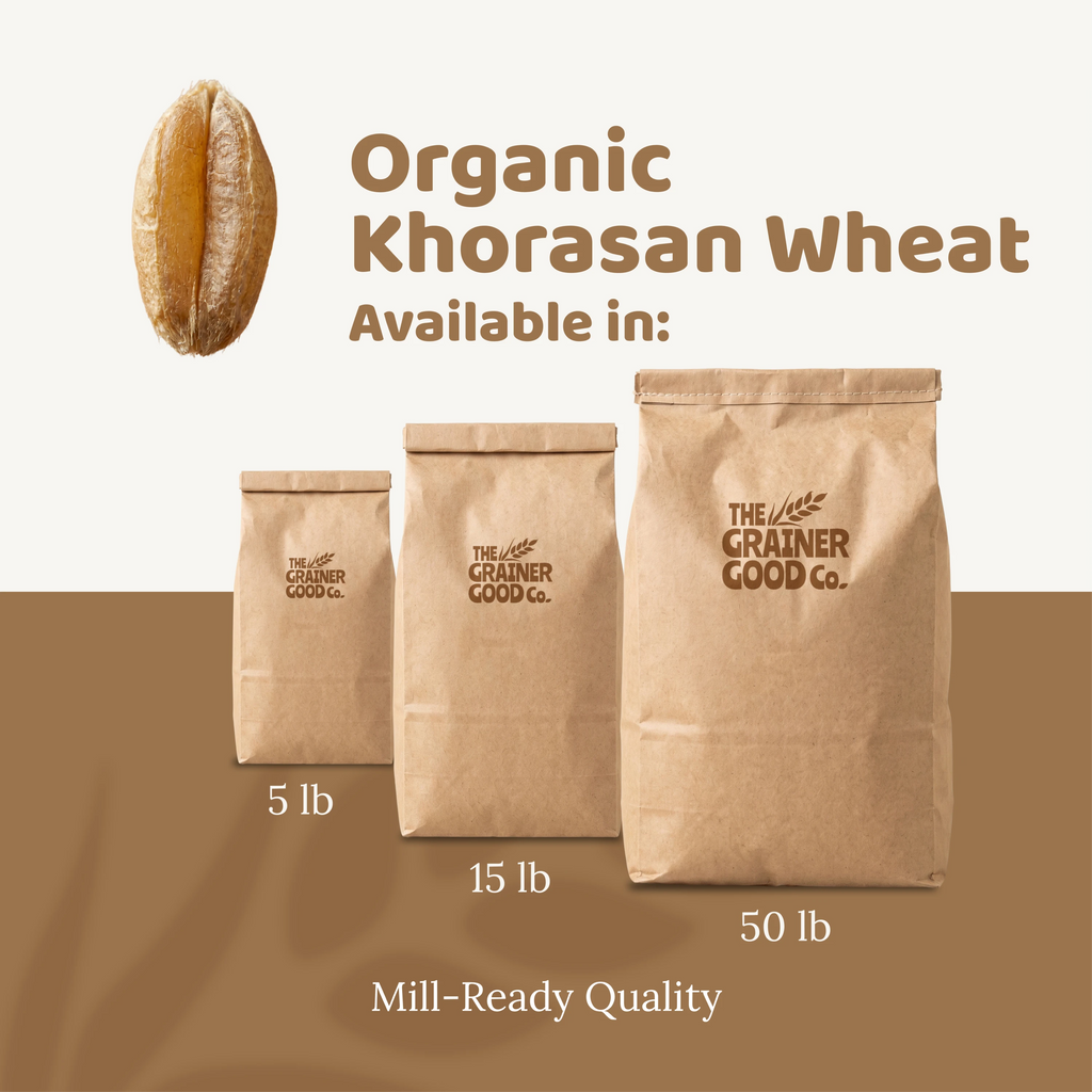 Organic Khorasan Wheat