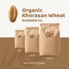 Organic Khorasan Wheat